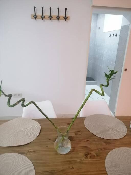 Living Cordoba 2 Dormitorios Zewnętrze zdjęcie